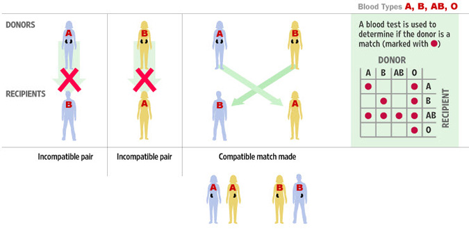 Blood Donor Receiver Chart